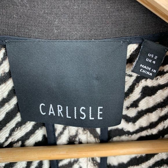 Carlisle Zebra Striped Wool Blend Blazer - Picture 4 of 11